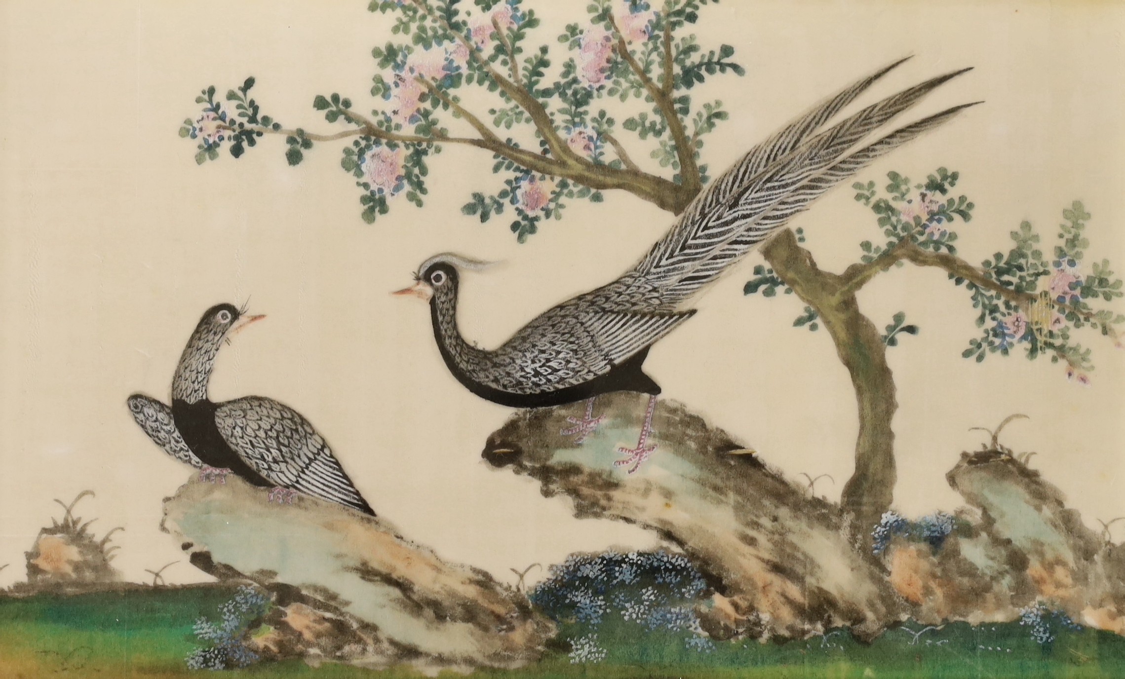 19th Century Chinese School, two gouaches on pith paper, studies of birds, 19 x 30cm